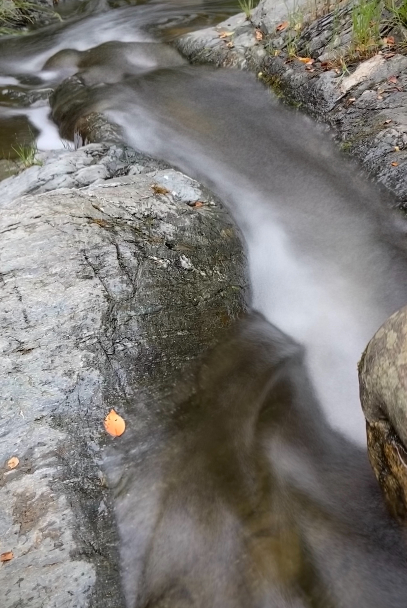 Zen.nl, Zen, meditatie, leren mediteren, foto